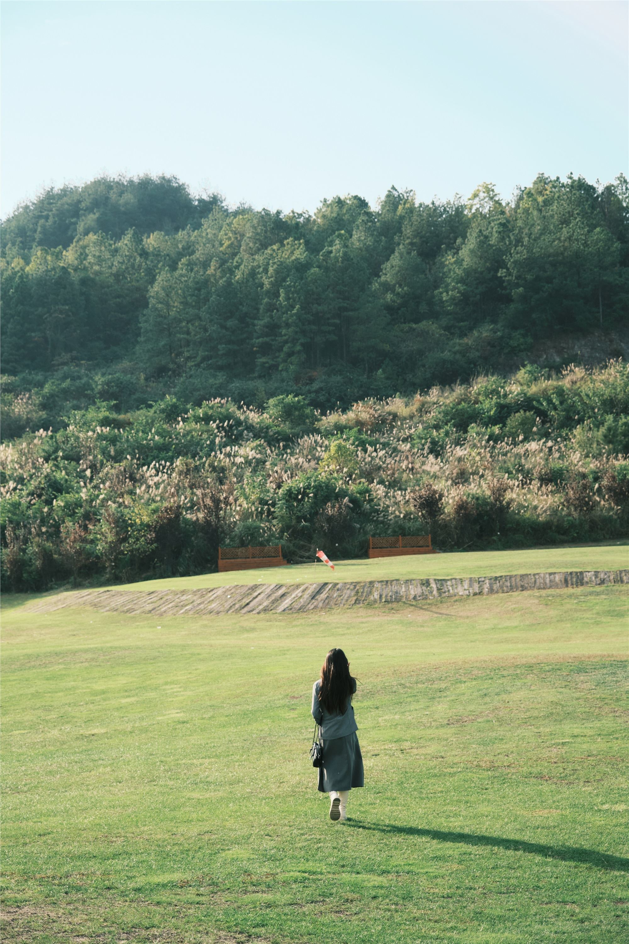 YITUYU艺图语 2025.01.06 草坪学院 一只狸猫